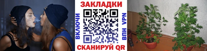 Как найти закладки Североморск Кокаин  ГАШИШ  Каннабис 