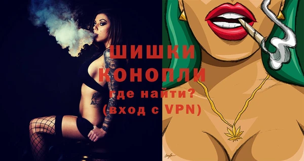 ГАЛЛЮЦИНОГЕННЫЕ ГРИБЫ Покачи