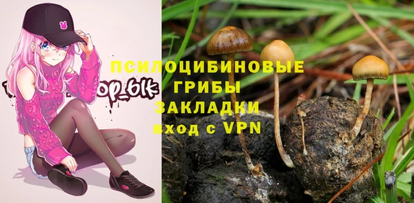 PSILOCYBIN Балабаново