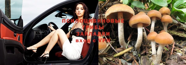 PSILOCYBIN Балабаново