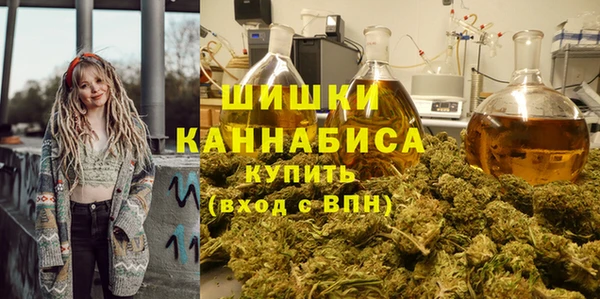 винт Рославль